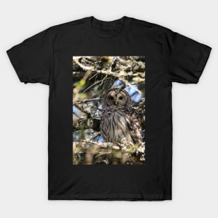 Barred owl beauty T-Shirt